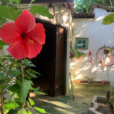 Praia de Pipa Conjunto Sol Roots 빌라 외부 사진